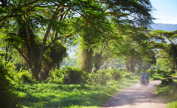 Arusha National Park Walking Safari