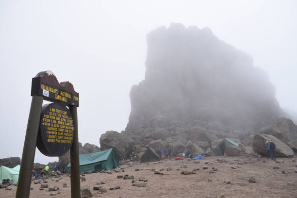 Day 2 - Mti Mkubwa to Shira 1 Camp