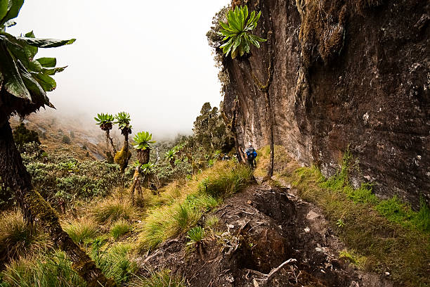 Day 5 - Barranco to Karanga Camp