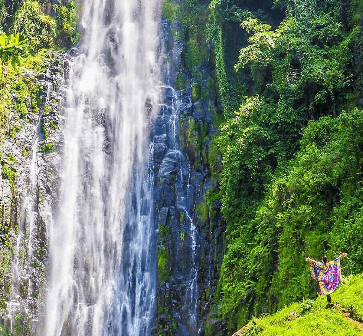 Materuni Waterfalls & Coffee Tour