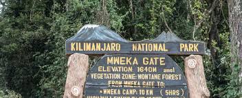 Day 8 - Mweka Camp to Mweka Gate